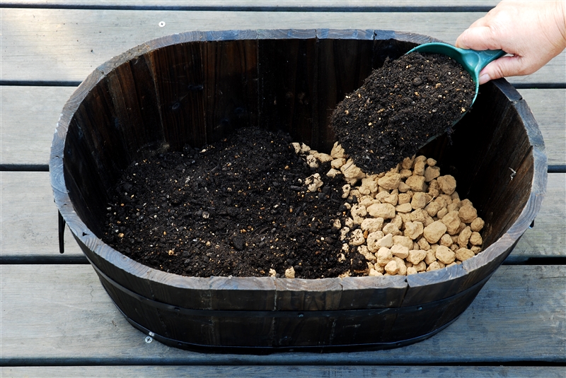 ② 鉢底網を敷いてゴロ土を入れ、ウォータースペース分をとって市販の培養土を入れる。